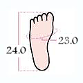 foot size